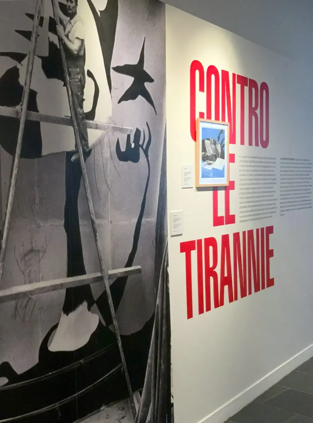Progetto espositivo “Joan Miró. È quando sogno che vedo chiaro”