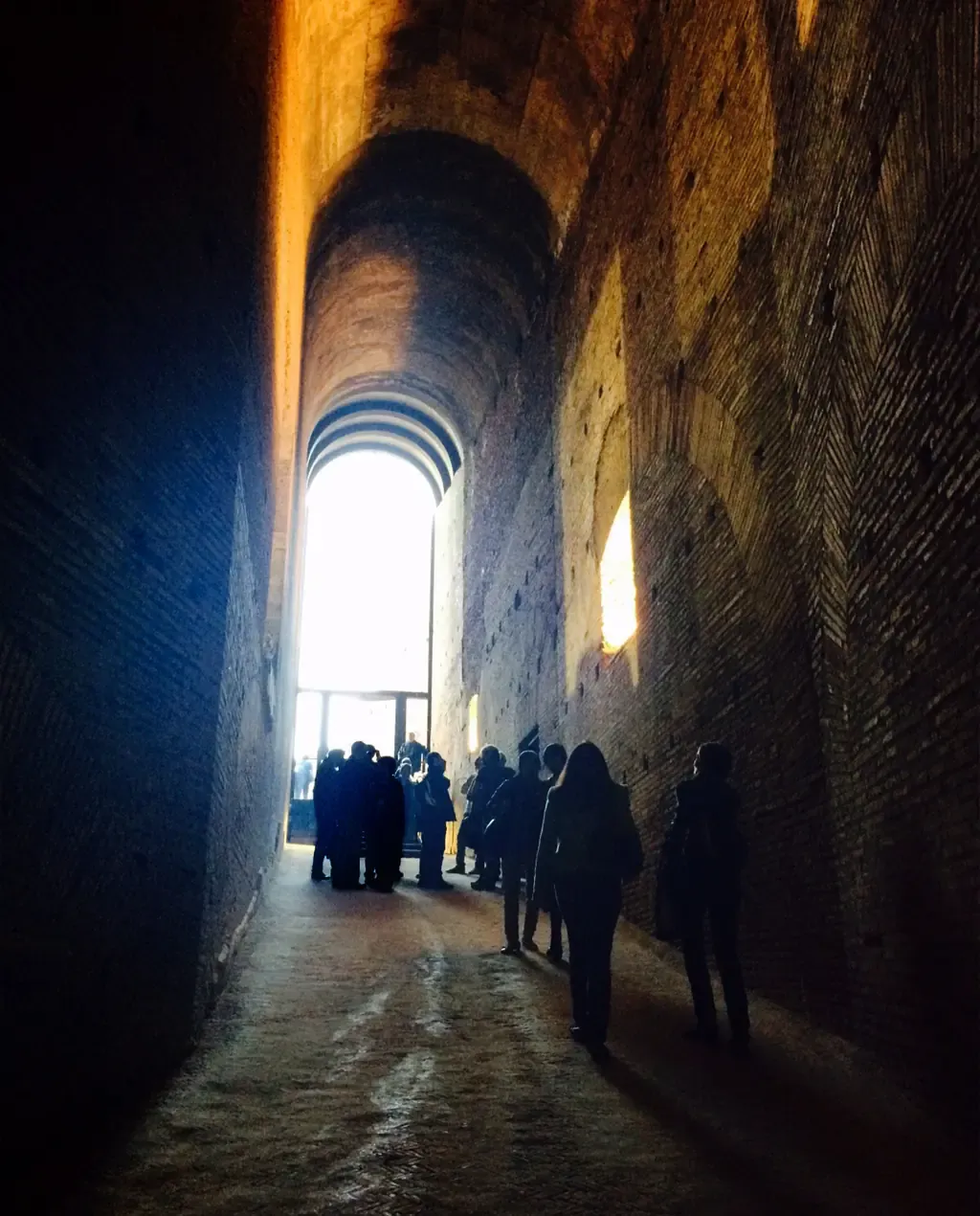 Visitatore della mostra